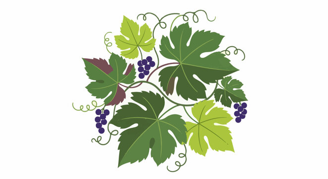 Stylized arrangement of green grape leaves and purple fruit