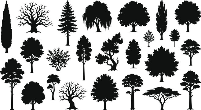Diverse tree silhouettes vector collection, various deciduous and evergreen trees, natural forest and park elements, botanical plant set for landscape design, black graphic icons