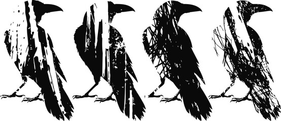 Naklejka premium Black grunge crow silhouettes in different poses with rough brush stroke texture