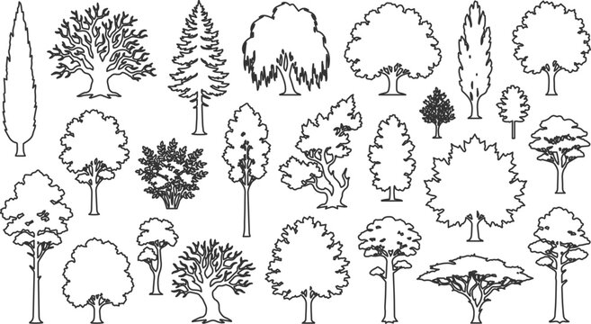 Architectural tree vector set, diverse deciduous and coniferous tree outlines, CAD drawing elements for landscape design, black and white line art collection, 2D plan view graphics