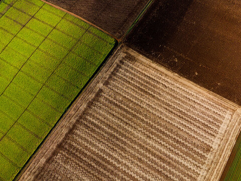 Aerial view of vibrant green and brown agricultural fields with geometric patterns and textures Devonport, Tasmania, Australia.