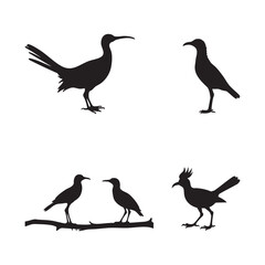 Fototapeta premium Silhouettes of various birds perched and in flight against white