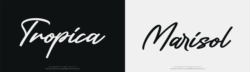 Tropica Marisol, Hand drawn vector alphabet. Modern monoline signature script font. Elegant Signature Font. Best Alphabet Beautiful Calligraphy Signature Font  © Smart font
