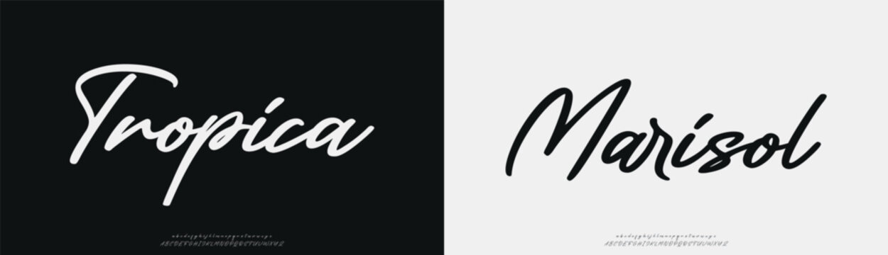 Tropica Marisol, Hand drawn vector alphabet. Modern monoline signature script font. Elegant Signature Font. Best Alphabet Beautiful Calligraphy Signature Font
