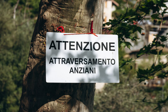 Warning sign attached to a tree in a rural village environment reading "Attention elderly crossing", highlighting local awareness and community safety in a quiet Mediterranean setting, Apricale, Italy