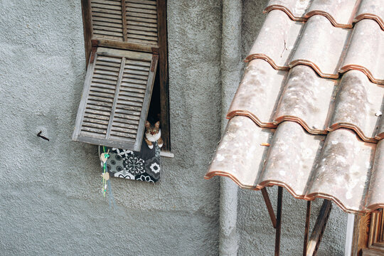 Cat looking out of a window in the old village of Apricale, Liguria, Italy