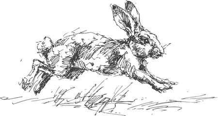 Obraz premium sketch of a running rabbit in motion hand drawn wild animal, nature and wildlife illustration