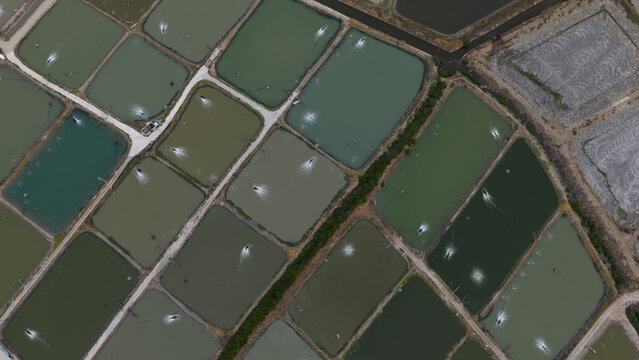 Aerial view of rectangular aquaculture ponds with mechanical aerators creating white splashes in the water, Shrimp farms, Kaohsiung City, Taiwan.