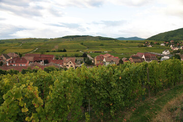 Naklejka premium Vineyard landscape in France showcasing rows of grapevines with a picturesque village and rolling hills under a cloudy sky in the background