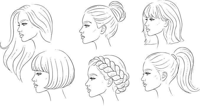 Hair illustration set featuring diverse feminine hairstyles including braids buns ponytails bobs and long flowing waves