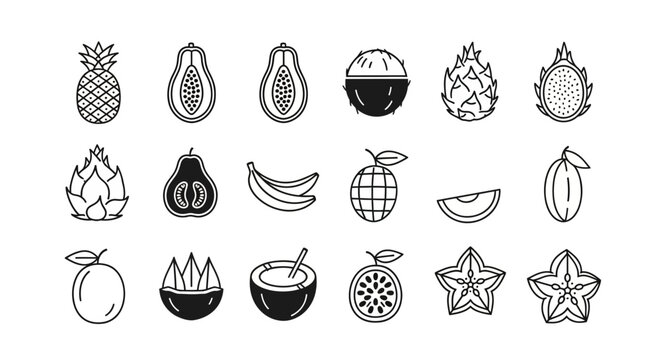 Variety of Exotic Fruit Illustrations.