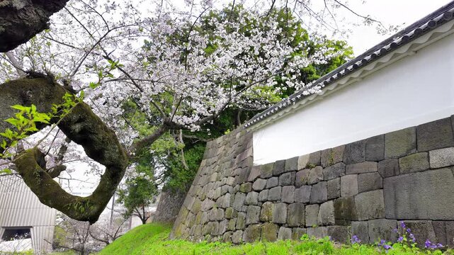 春の九段下　田安門付近の風景　3月