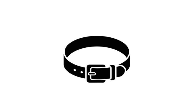 Black leather belt with silver buckle.