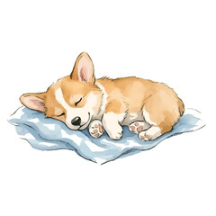 Naklejka na ściany i meble Cat and dog resting together on floor and pillow cute pets portrait
