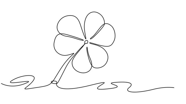 Three leaves clover continuous one line drawing animated video. Irish leaf. Saint Patrick's Day symbol animation illustration, Self animated minimalist, single continuous line drawing of a clover leaf