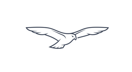 Seagull flying in the air. © Novi Ratnasari