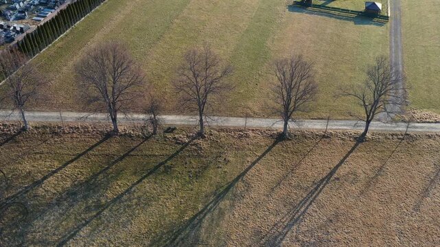 pola, rozjazd, kreska, charakter, kierunek, metal, stal, krajobraz, przew&oacute;z, podr&oacute;ż, kolej, tor, droga, przewozy, cienie drzew widok z drona , dron, szling, małopolska, sądeckie, 