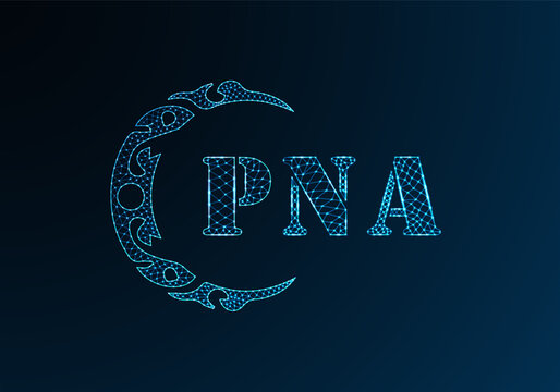 Low poly letter logo PNA design. PNA letter logo low poly vector design on blue color gradient background. PNA logo low poly design