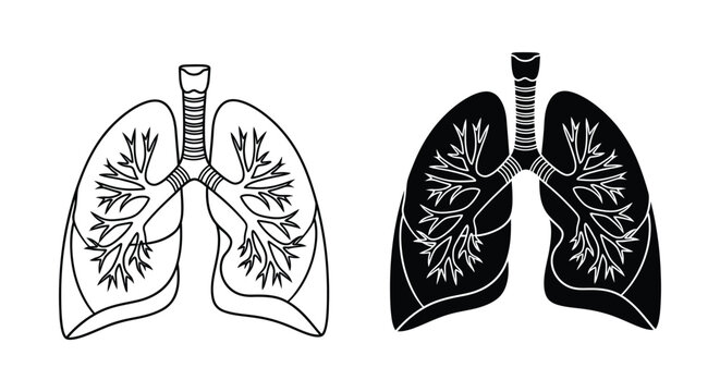 Human lungs with trachea and bronchi in black and white vector illustration