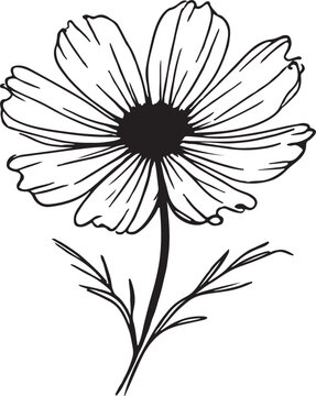 chocolate cosmos flower silhouette vector