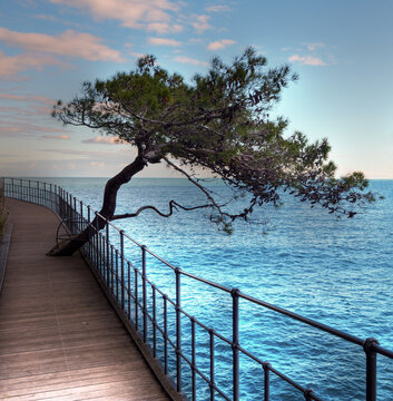 picturesque pedestrian walkway that connects Santa Margherita Ligure to Portofino, passing through the Bay of Paraggi Italy