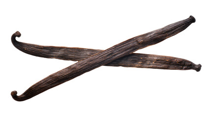 Obraz premium Two dark brown textured aromatic vanilla pods naturally crossed, isolated on transparent background for gourmet cooking and baking