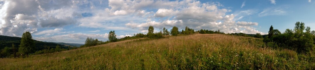 Fototapeta premium Panorama of a forest on a sunny day. Large green meadow surrounded by forest. Forest clearing. The forest is green