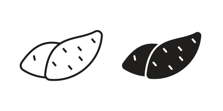 Sweet potato icon Line Design Vector Illustration. Solid Black icons