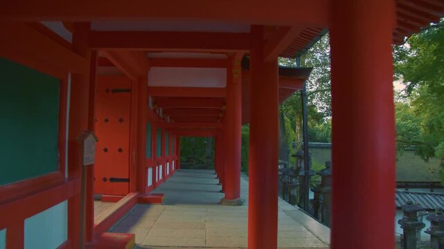 早朝の春日大社 4K