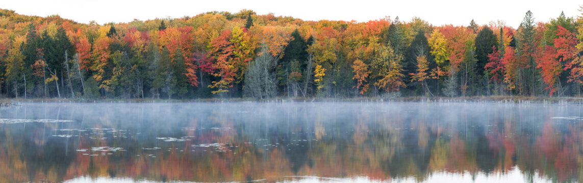 64776-010.16 Fall Color at small lake or pond Alger county in the Upper Peninsula, MI