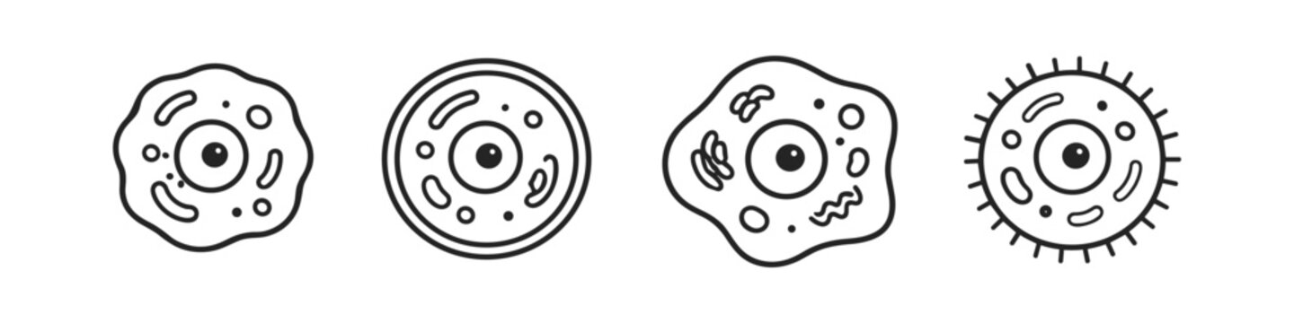 Set of stylized cell icons with nucleus and organelles in simple line art