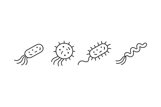 Simple line drawings of different types of bacteria with flagella and cilia