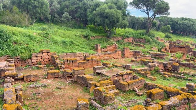 Ancient ruins of the Roman city Sala Colonia at Chellah in Rabat. Historical archaeological site featuring remnants of a Roman settlement. Lush green landscape surrounds the ancient stone.