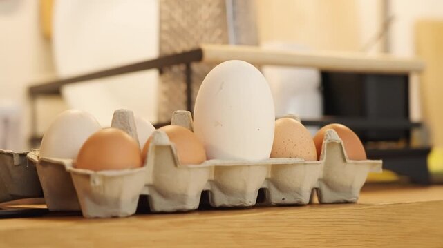 Long shot of a egg box in kitchen with a single large egg standing out