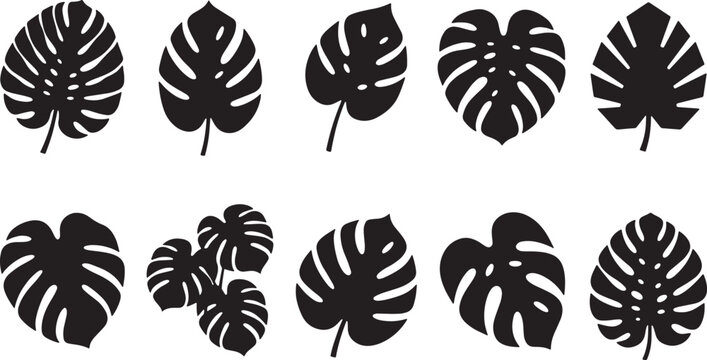 Black and white floral pattern with ten different stylized flowers petals symmetry