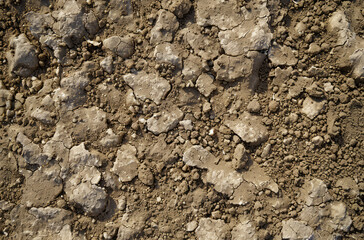 Fototapeta premium Photo of Brown soil dirt surface. Background texture for backdrops or mapping