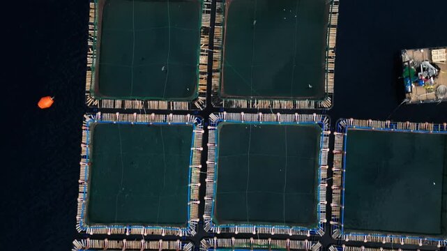 Overhead view of a fish farm with multiple net pens and a small boat. An orange buoy floats in the dark water nearby.