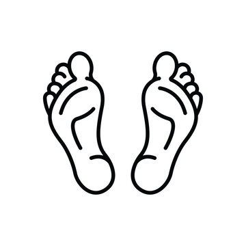Feets Human Legs Line Icon: Body Lower Anatomy