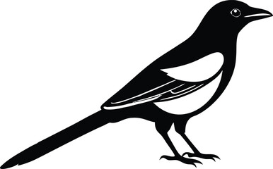 Obraz premium Black and white magpie bird vector illustration icon silhouette design