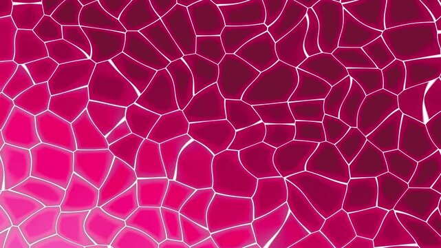 Seamless loop abstract pink Voronoi pattern background with glowing grid lines and organic flowing cells, ideal for modern design, digital visuals, websites and futuristic presentations.