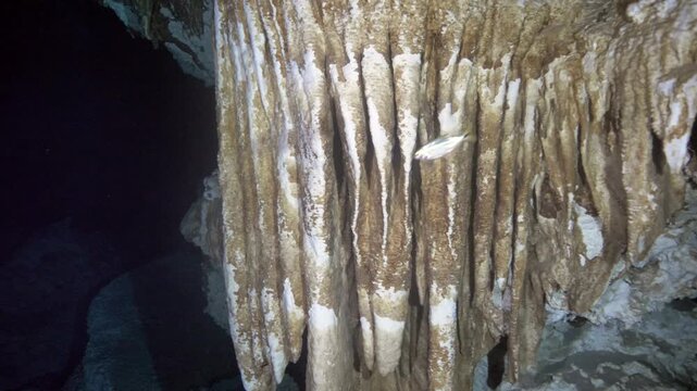 Upward camera movement reveals elongated calcite stalactites in cenote cavern in Cenote Dos Ojos, Quintana Roo, Mexico