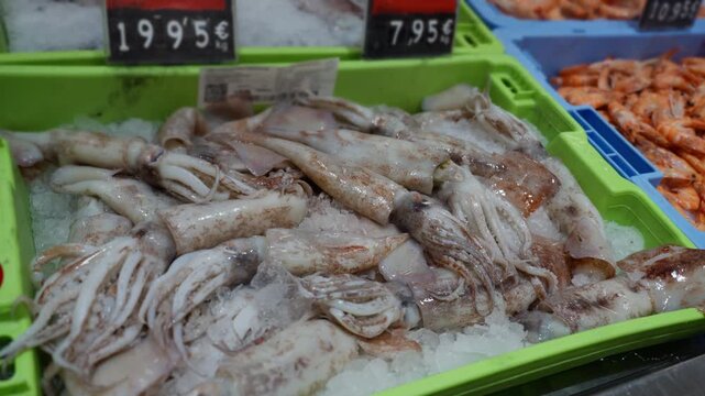 Fresh raw squid and seafood on ice for sale at traditional fish market stall,variety of marine products, including prawns in background.Healthy food selection, grocery shopping, nutrition concept.