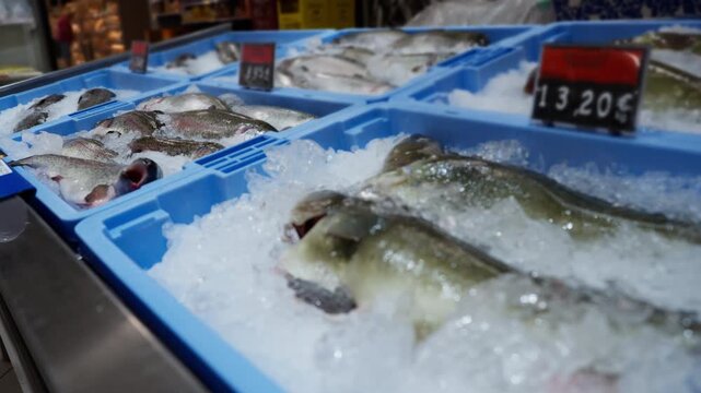 Chilled raw fish displayed on crushed ice in blue plastic containers at supermarket counter. Fresh seafood selection with visible price tags, retail shopping, food industry and nutrition concept.