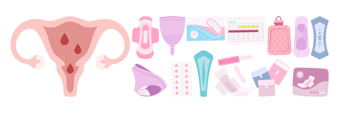 Flat Menstrual Hygiene Products and Female Reproductive Anatomy. Hygiene Pad Illustration Set