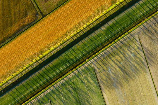 Aerial view of geometric agricultural fields and a tree-lined path with long shadows in Mont Saint-Michel, Normandy, France.