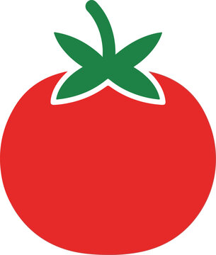 Red Tomato Vector Illustration Isolated on White Background