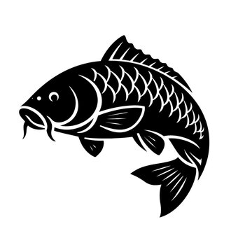 A black and white illustration of a carp fish swimming on a white background