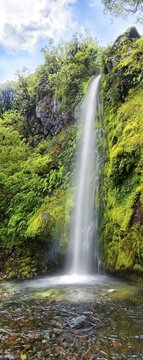 18m high Dawson Falls waterfall in the middle of a tropical rainforest, Dawson Falls, Mount Taranaki or Mount Egmont, Whanganui National Park, North Island, New Zealand