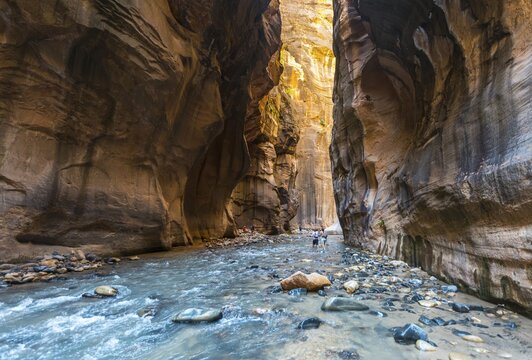 Hikers in river, The Narrows, Virgin River, steep walls, Zion Canyon, Zion National Park, Utah, USA