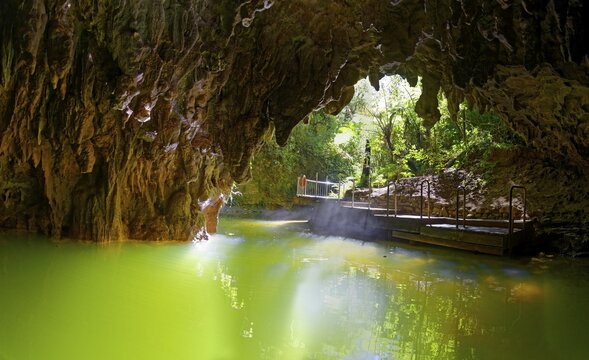 Cave exit from Waitomo Glowworm Caves, Waikato, North Island, New Zealand